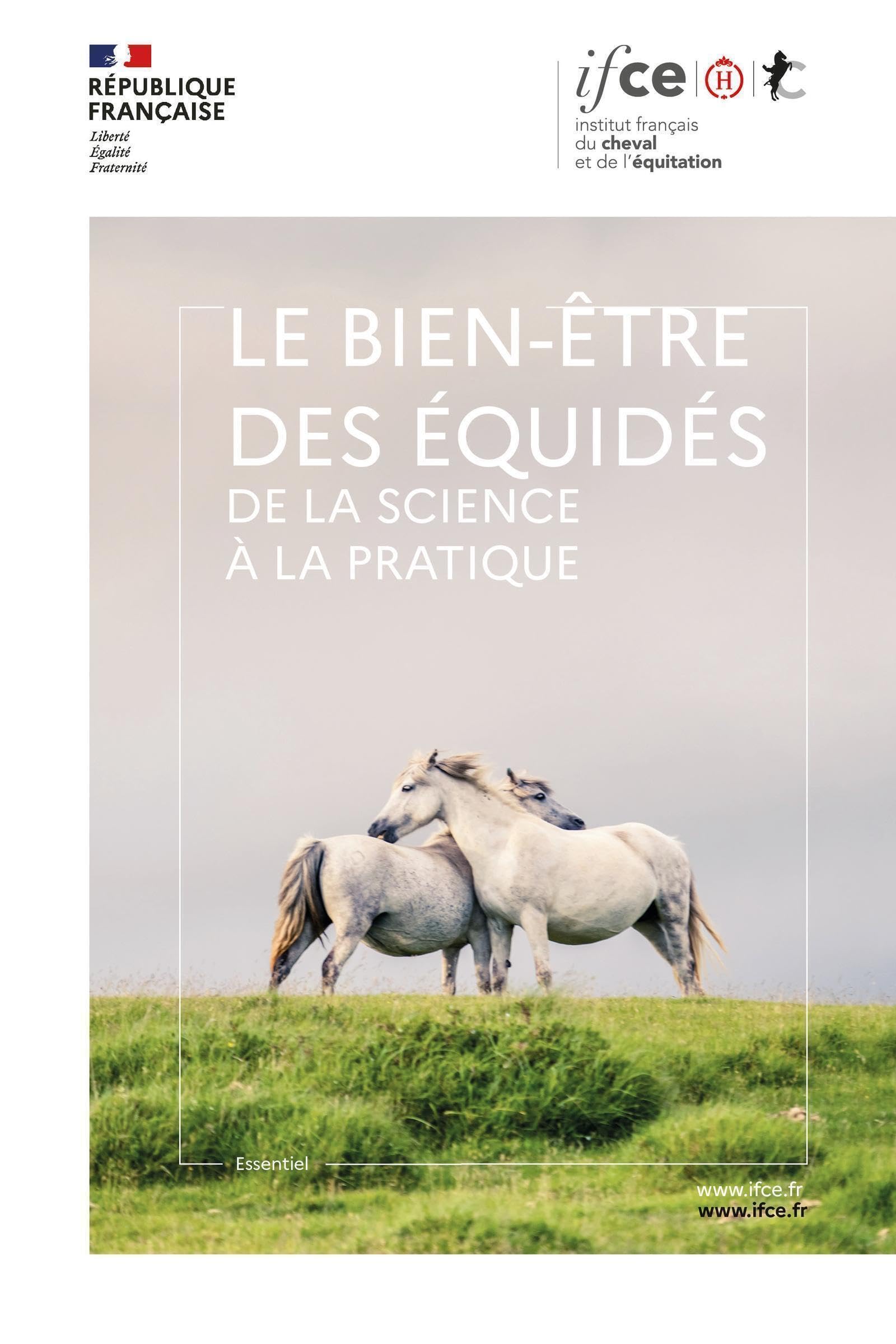 Le bien-être des équidés: De la science à la pratique book