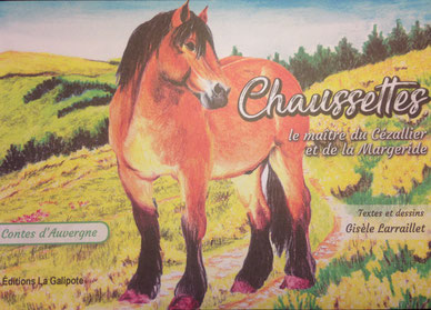 Chaussettes : le maître du Cézallier et de la Margeride book