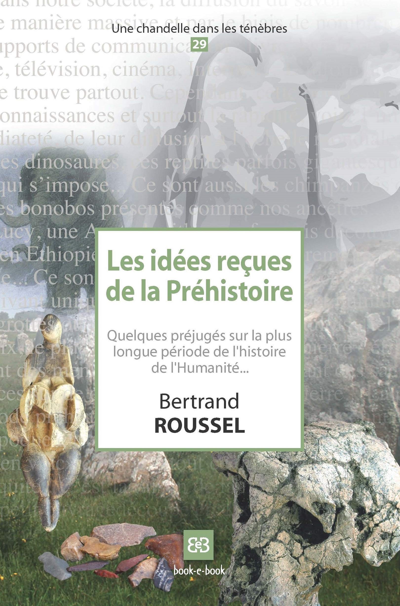 Les idées reçues de la Préhistoire: Quelques préjugés sur la plus longue période de l'histoire de l Politics & History