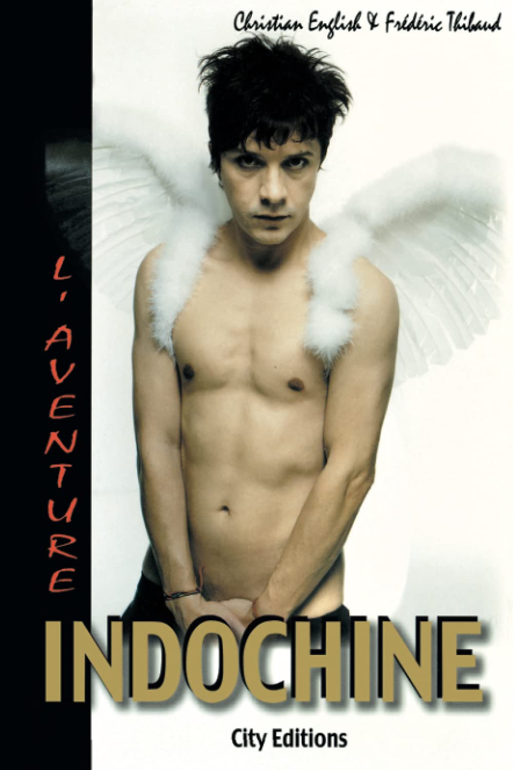 L'aventure Indochine Contemporary literature