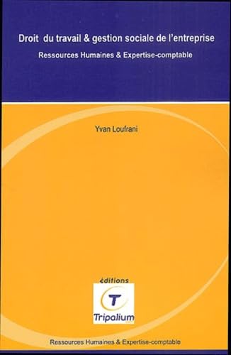 Droit du travail & gestion sociale de l'entreprise: Ressources humaines & expertise-comptable book