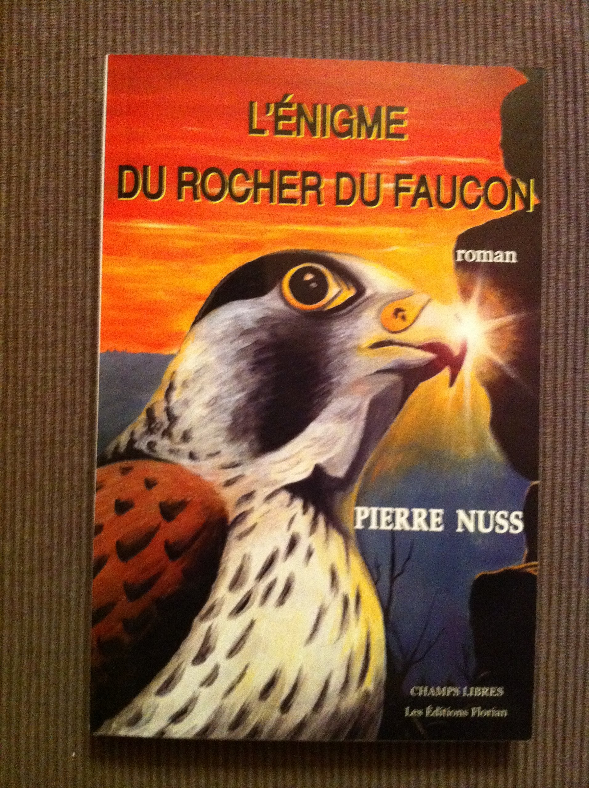 L'enigme du rocher du faucon book