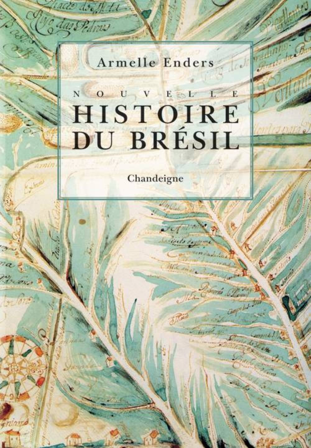 Nouvelle histoire du Brésil book