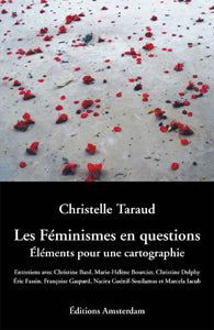 Les féminismes en questions : éléments pour une cartographie : entretiens avec Christine Bard, Marie-Hélène Bourcier, Christine Delphy, Eric Fassin, Françoise Gaspard, Nacira Guénif-Souilamas et Marcela Iacub Social Sciences