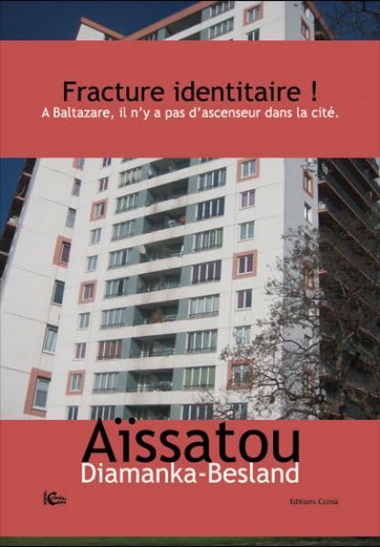 Fracture identitaire ! A Baltazare, il n'y a pas d'ascenseur dans la cité. book