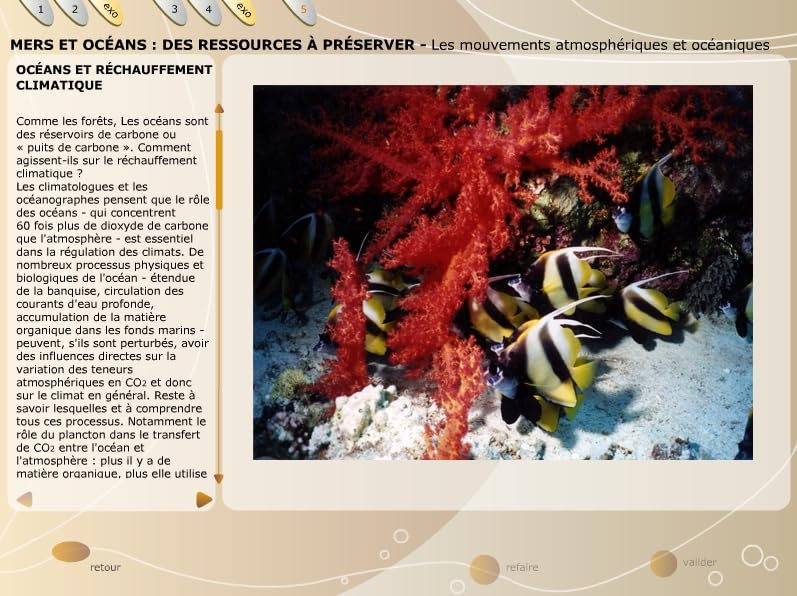 Mers & océans, des ressources à préserver - Les Enjeux du D. D 14 CD - Licence Bibliothèque+prêt book