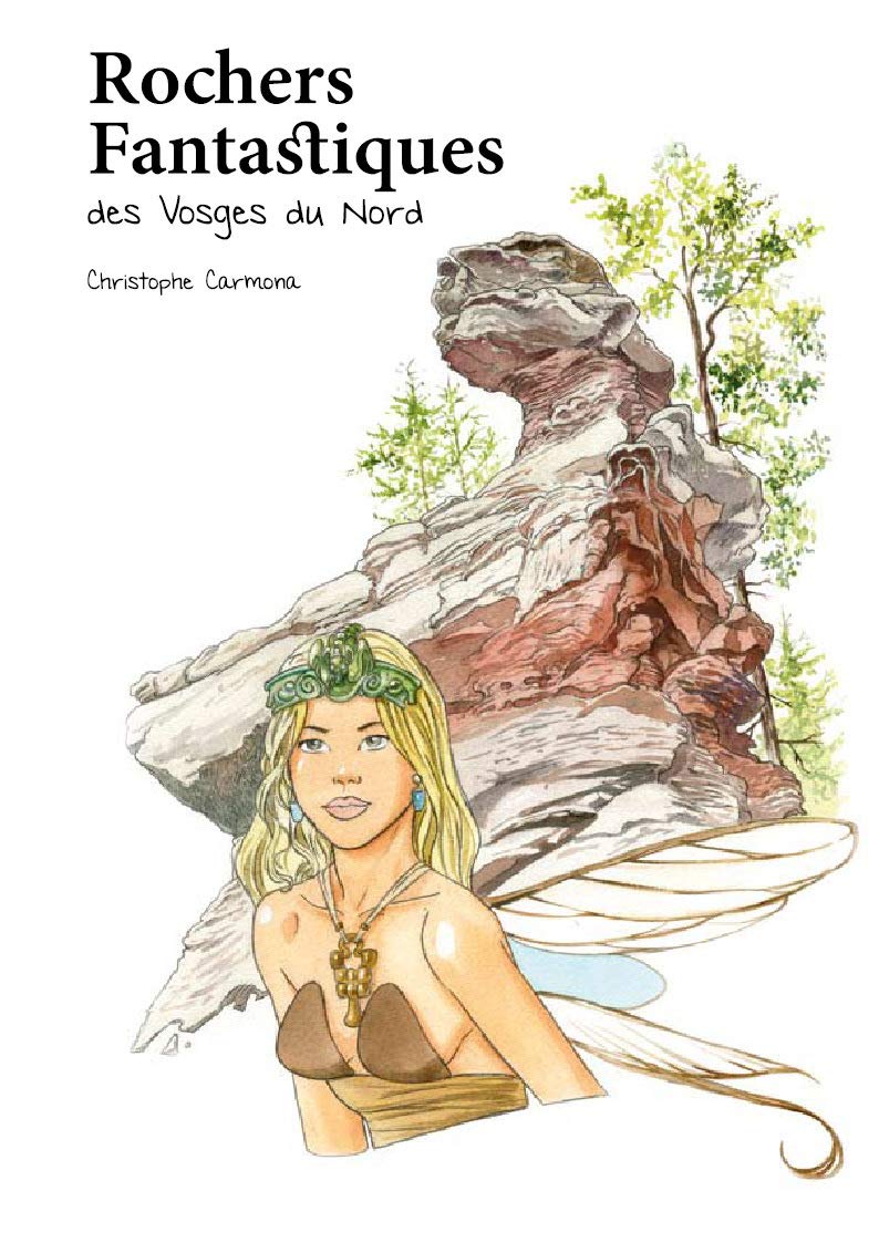 Rochers fantastiques des Vosges du Nord book