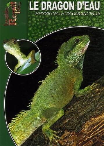 Le Dragon d'eau: Physignathus Cocincinus (Les guides Reptil mag) Pets