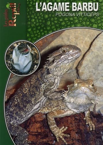 L'Agame Barbu: Pogona Vitticeps (Les guides Reptil mag) Leisure, Home & Garden