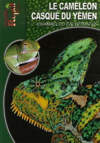 Le Caméléon Casqué du Yémen: Chamaeleo Calyptratus Leisure, Home & Garden