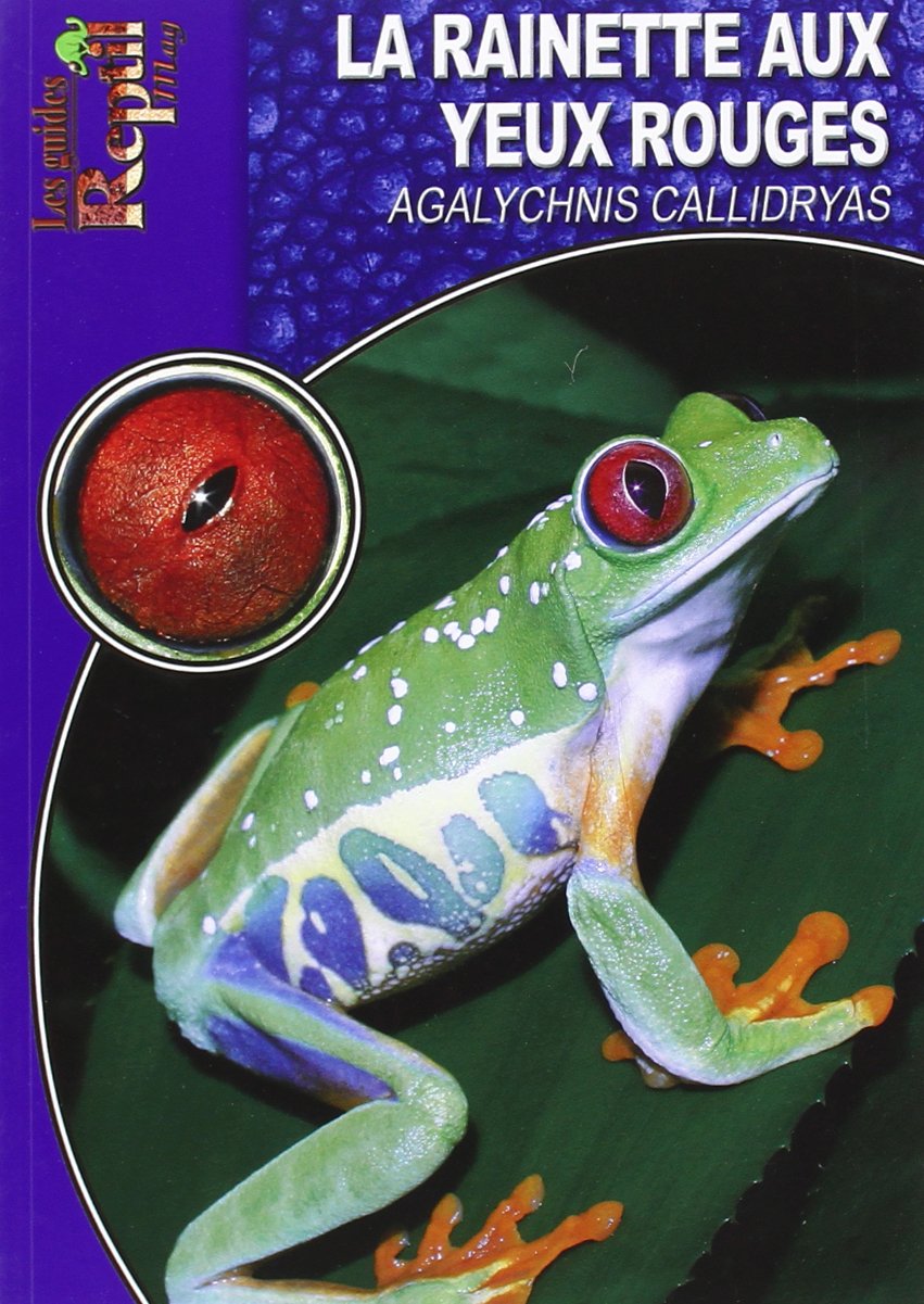 La Rainette aux Yeux Rouges: Agalychnis Callidryas Leisure, Home & Garden