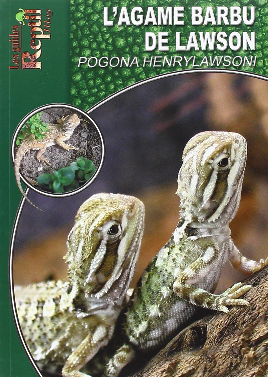 L'Agame Barbu de Lawson: Pogona Henrylawsoni Leisure, Home & Garden