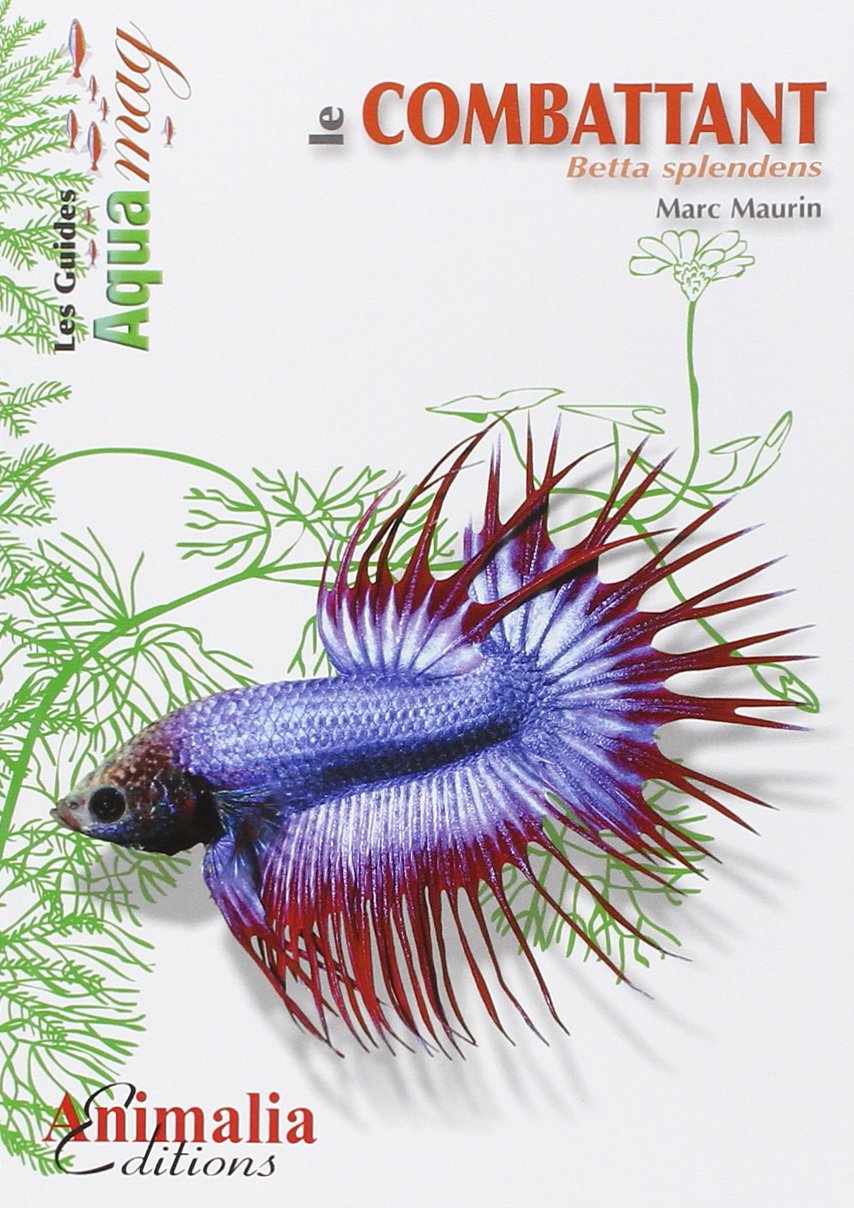 Le Combattant et autres Bettas: Betta splendens Pets
