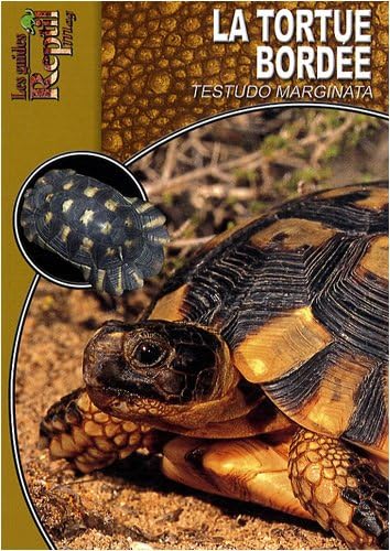 La Tortue Bordée: Testudo Marginata Leisure, Home & Garden
