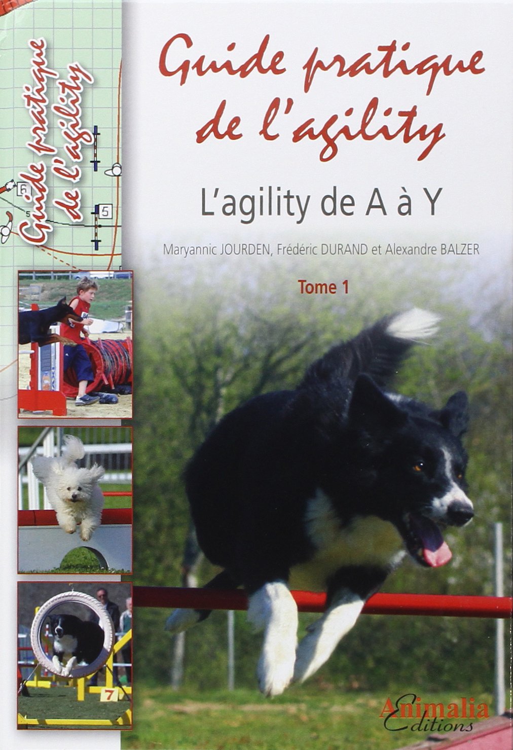 Guide pratique de l'agility: L'agility de A à Y Tome 1 Pets