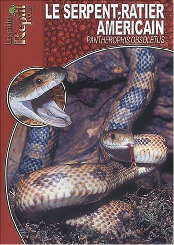 Le Serpent-Ratier Américain: Pantherophis Obsoletus Leisure, Home & Garden