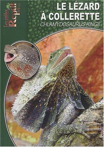 Le Lézard à Collerette: Chlamydosaurus Kingii Leisure, Home & Garden