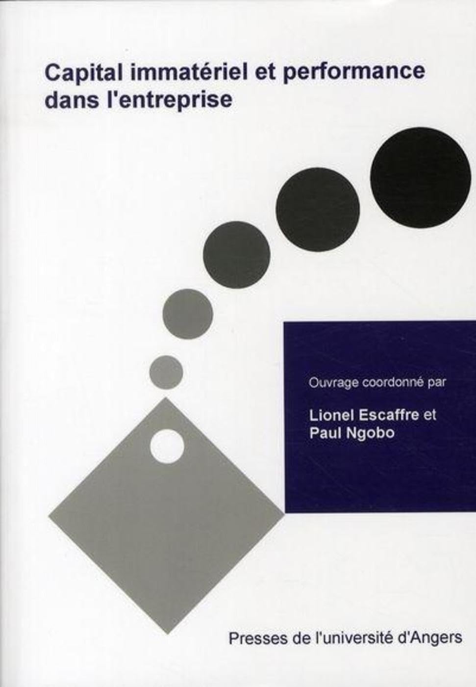 CAPITAL IMMATERIEL ET PERFORMANCE DE L ENTREPRISE Politics & History