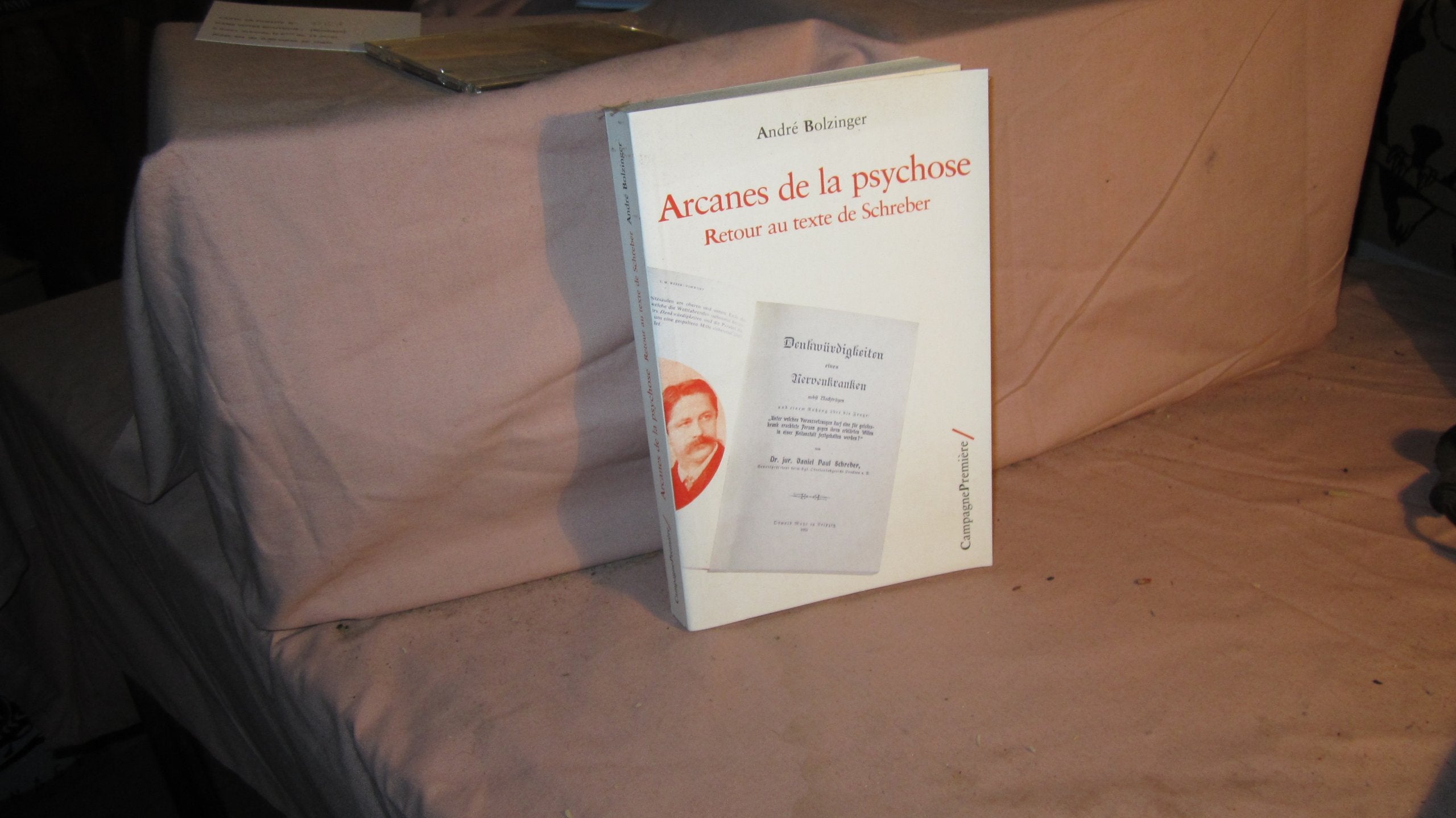 Arcanes de la psychose: Retour au texte de schreber Psychology