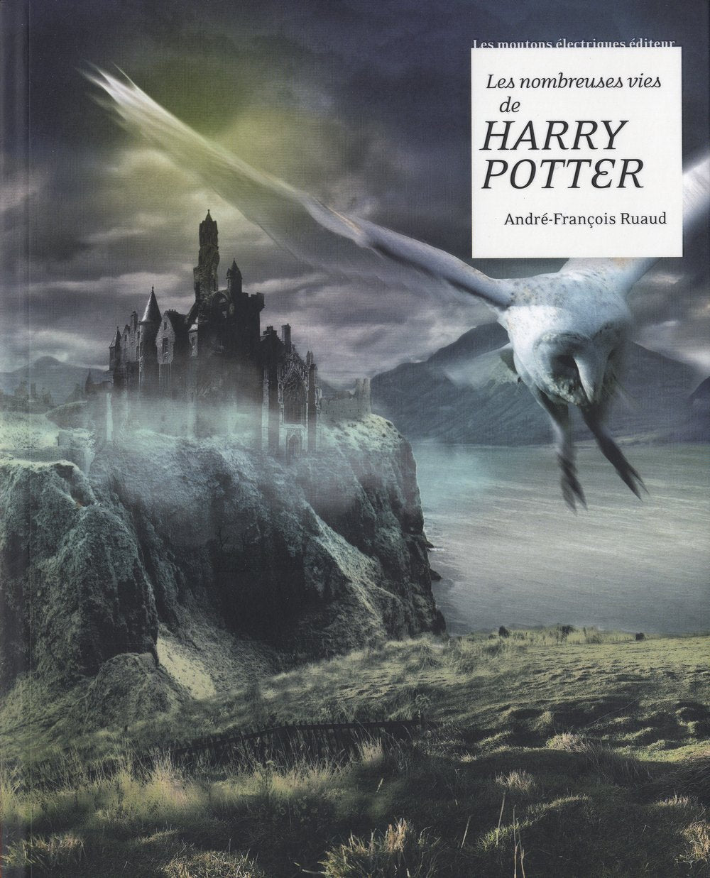 Les nombreuses vies de Harry Potter Books