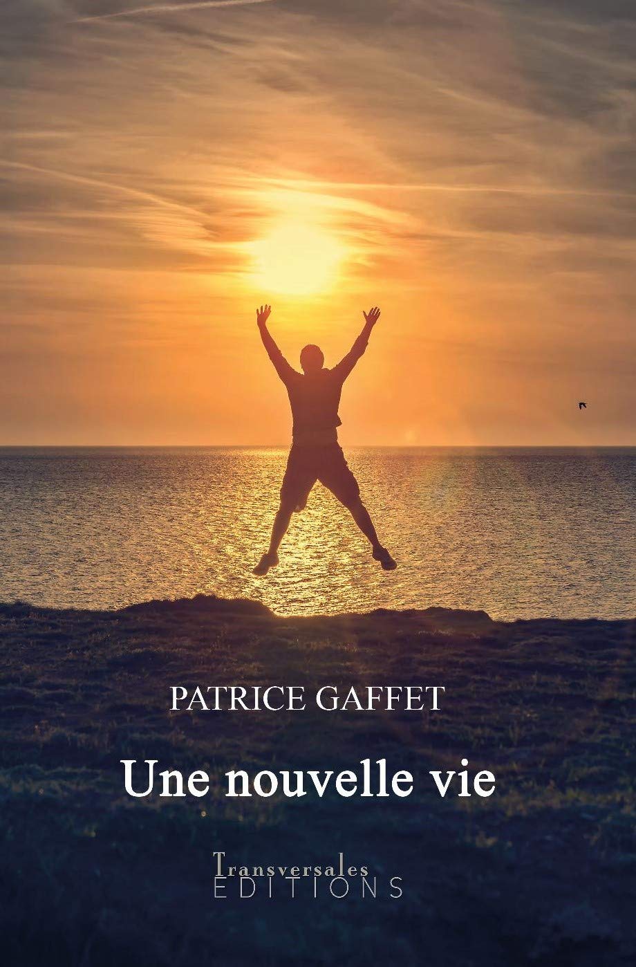 UNE NOUVELLE VIE FACE À L'OUBLI Books