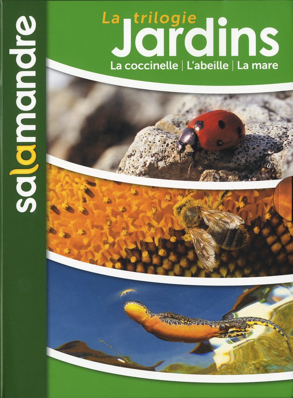 La trilogie jardins: Sur la piste des coccinelles, La révolution des abeilles, Les héros de la mare book