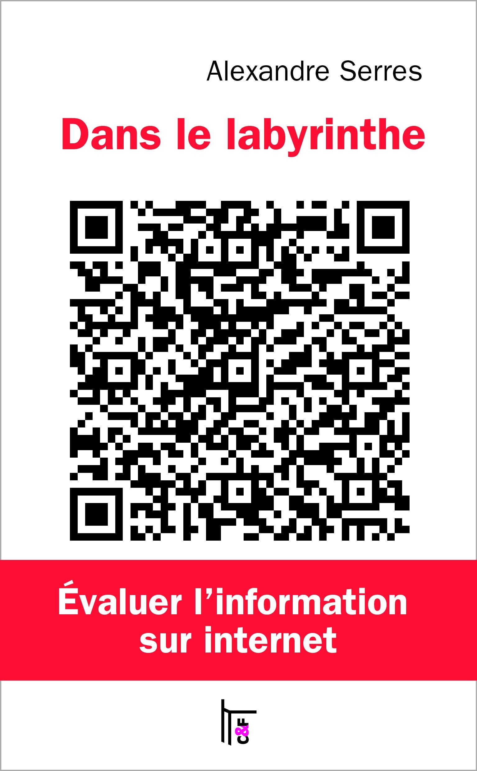 Dans le labyrinthe : évaluer l'information sur internet: Evaluer l'information sur internet Books