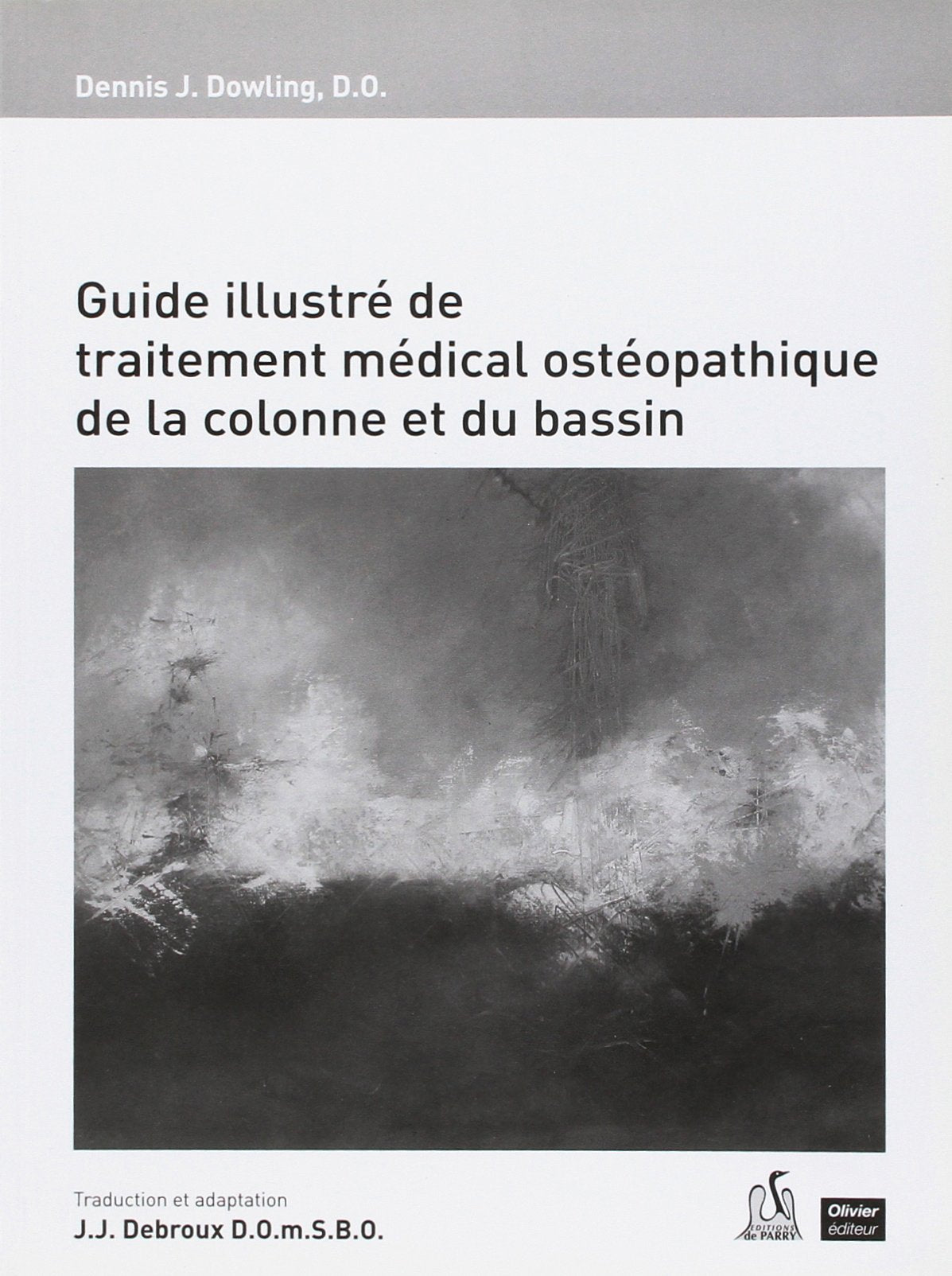 Guide illustré de traitement médical et ostéopathique de la colonne et du bassin book