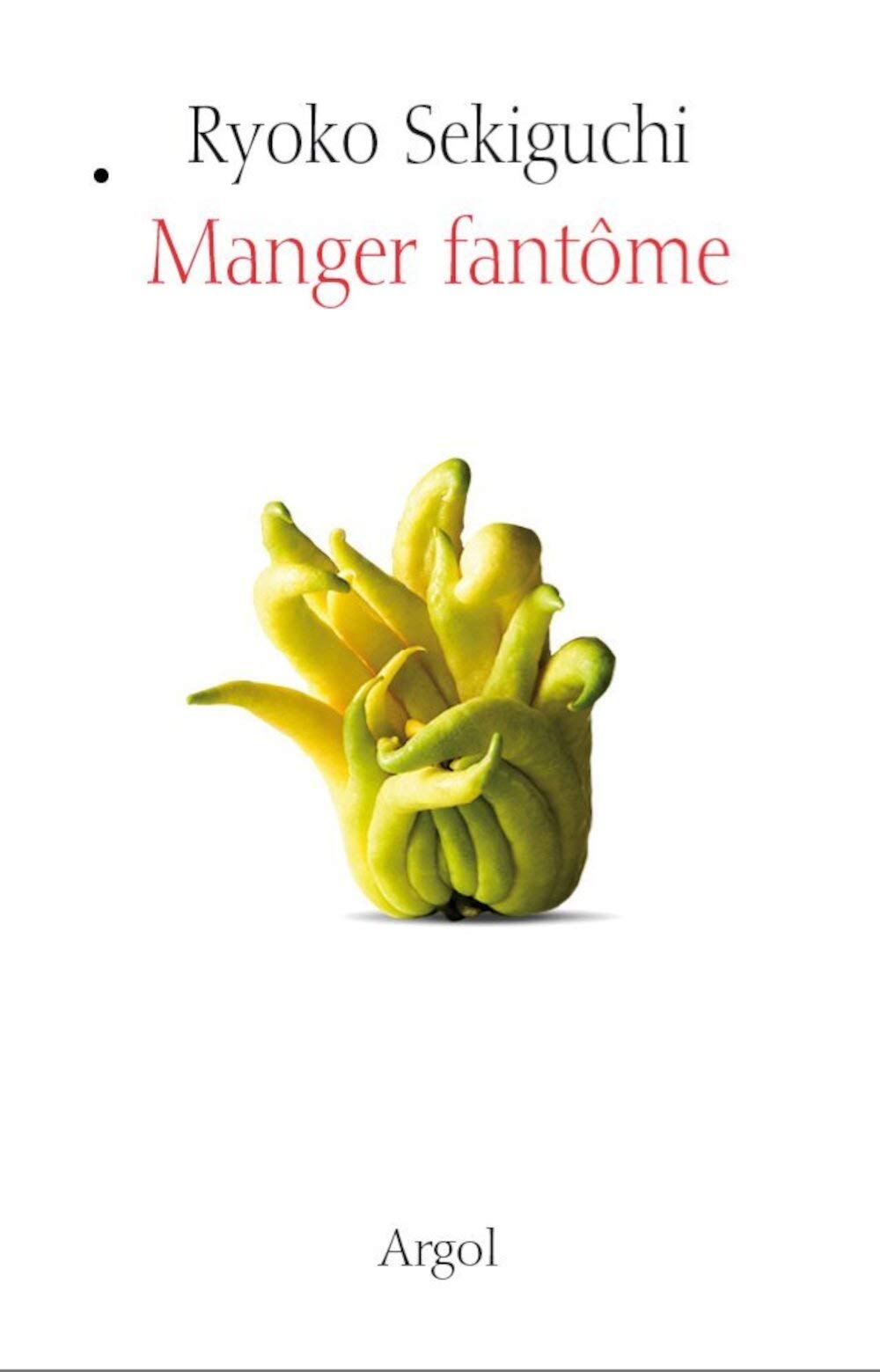 Manger fantôme: Manuel pratique de l'alimentation vaporeuse book