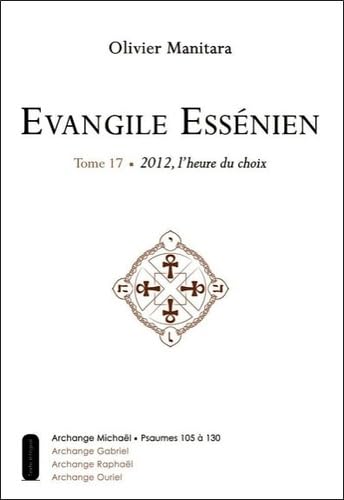Evangile Essénien: Tome 17 : 2010, l'heure du choix Books