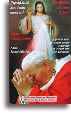 Providence dans l'ordre surnaturel, tendresse du coeur de Dieu : D'après l'Écriture sainte (Collection Prière et dévotion) book