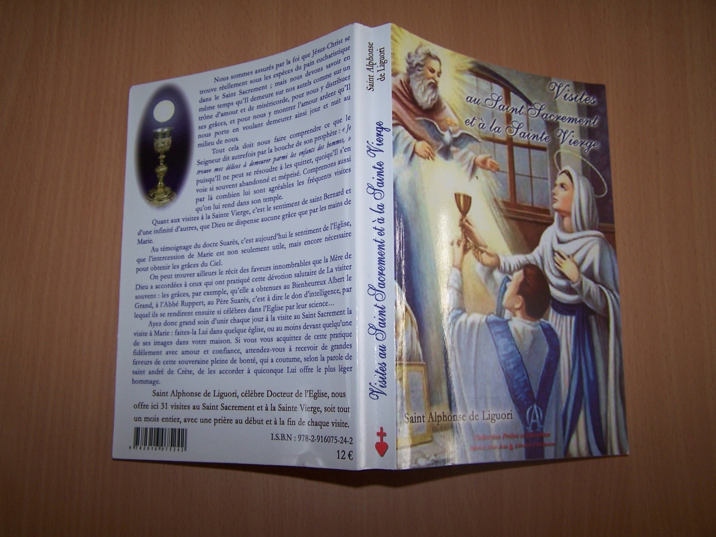 Visites au saint sacrement et a la sainte vierge - Réédition conforme au texte d'origine de 1883 book