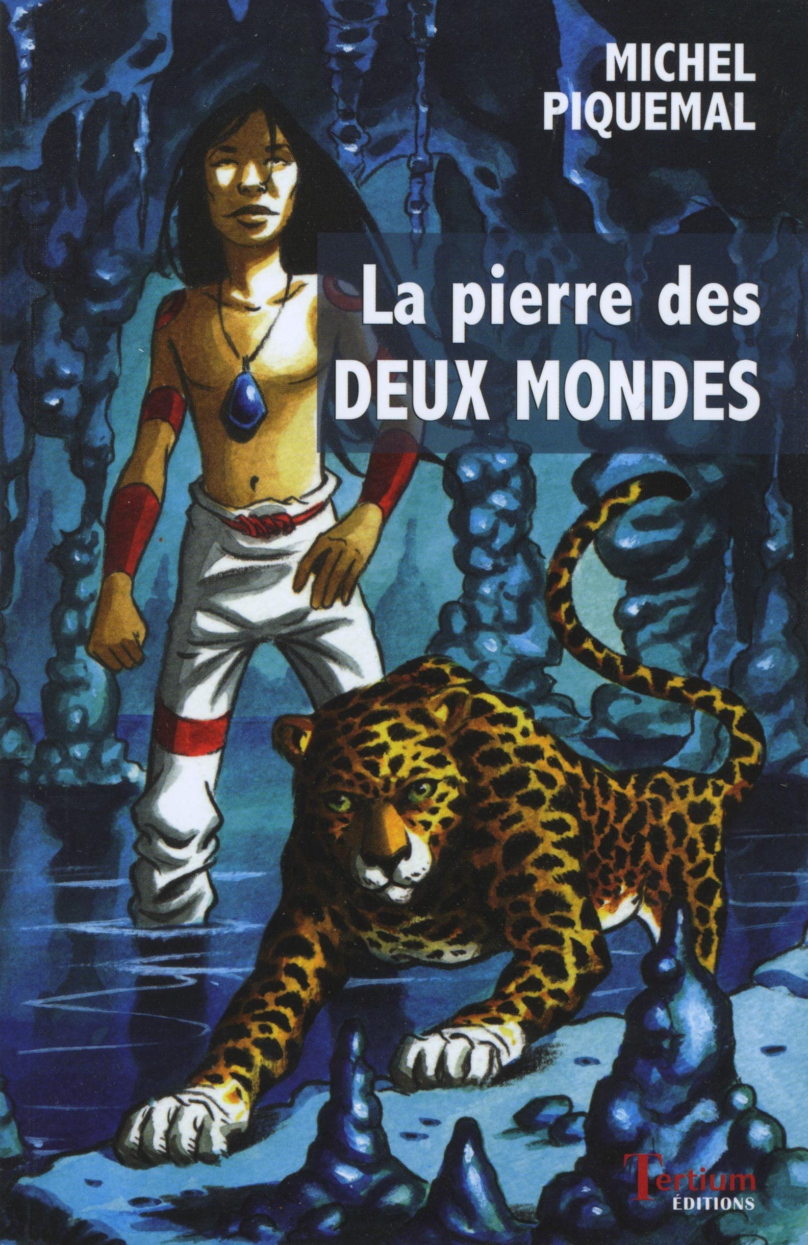 La pierre des deux mondes book
