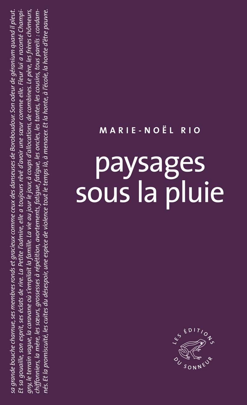 Paysages sous la pluie book