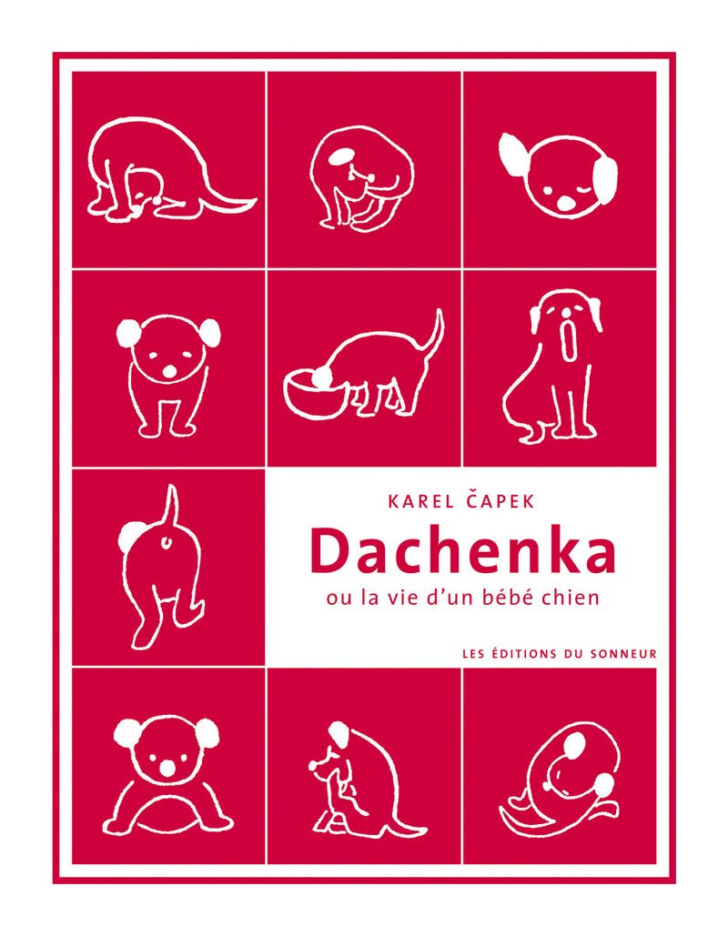 Dachenka ou la vie d'un bébé chien book