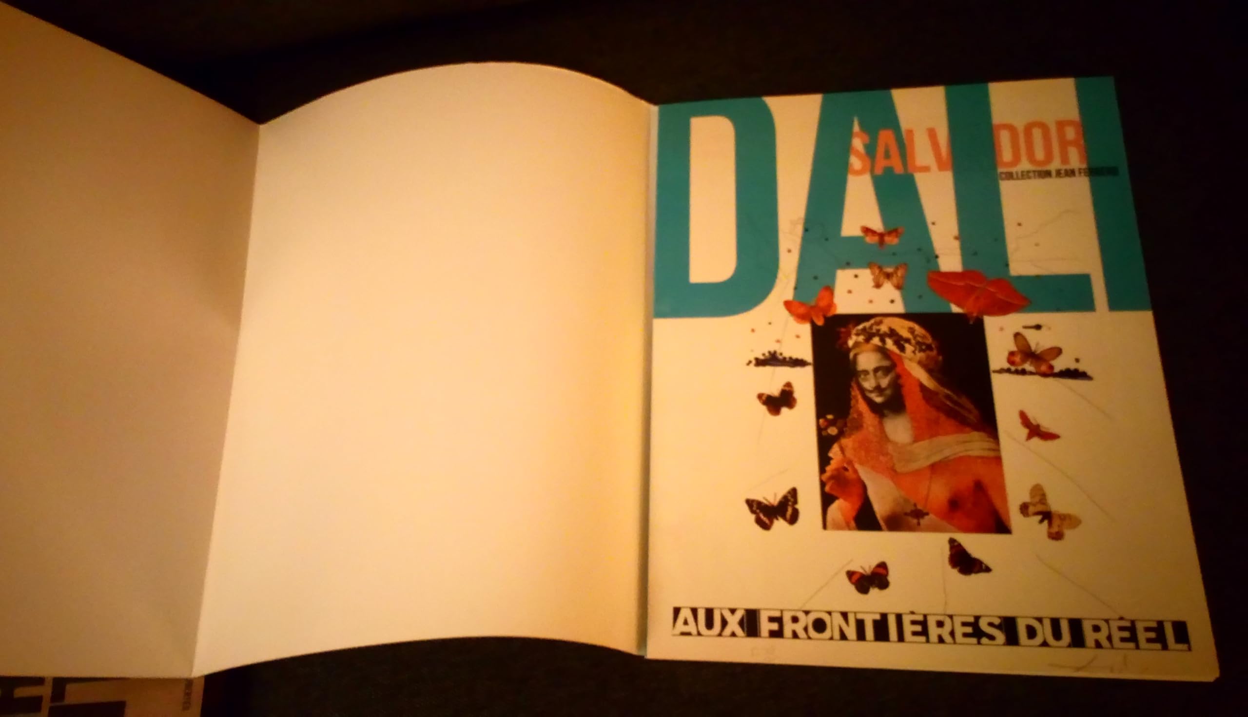 Salvador Dali, Aux Frontières Du Réel. Collection Jean Ferrero book