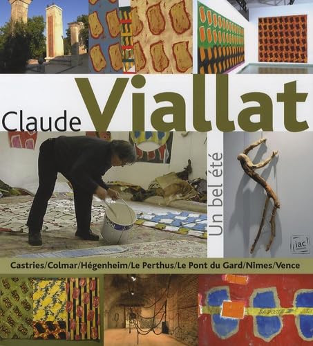 Claude Viallat : Un bel été: Expositions de l'été 2006 Books