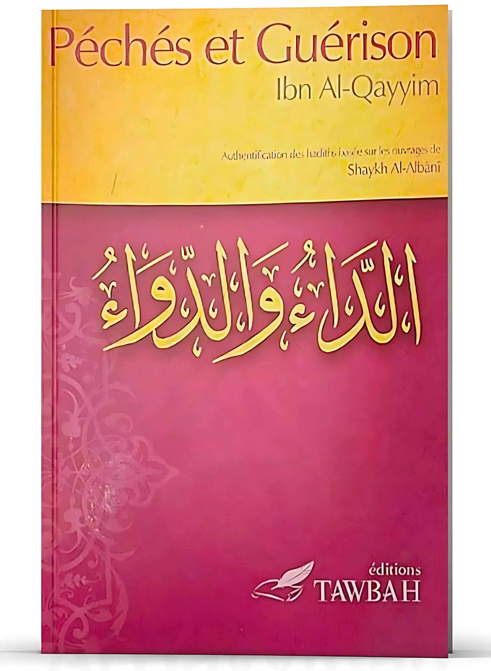 Péchés et guérison: Authentification des hadiths basée sur les ouvrages de shaykh Muhammad Nâsir Ad-Dîn Al-Albânî Religion & Esotericism