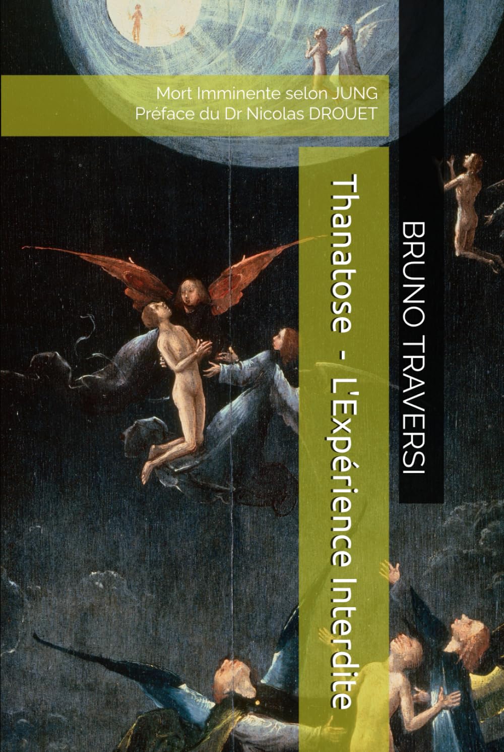 Thanatose - L'Expérience Interdite: Mort Imminente, Renaissance et Révélations selon C.G. JUNG book