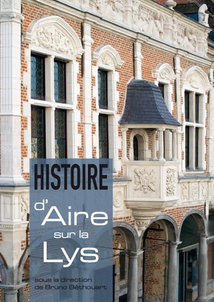 Histoire d'Aire-sur-la-Lys - des origines à nos jours book