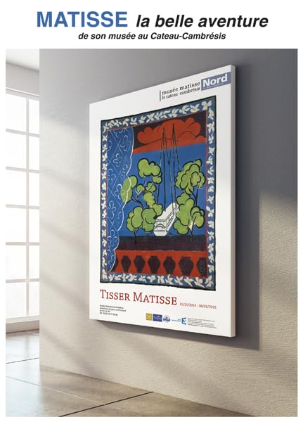 Matisse la belle aventure: de son musée au Cateau-Cambrésis book