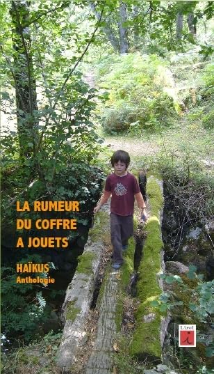 La rumeur du coffre à jouets: Haïku, anthologie book