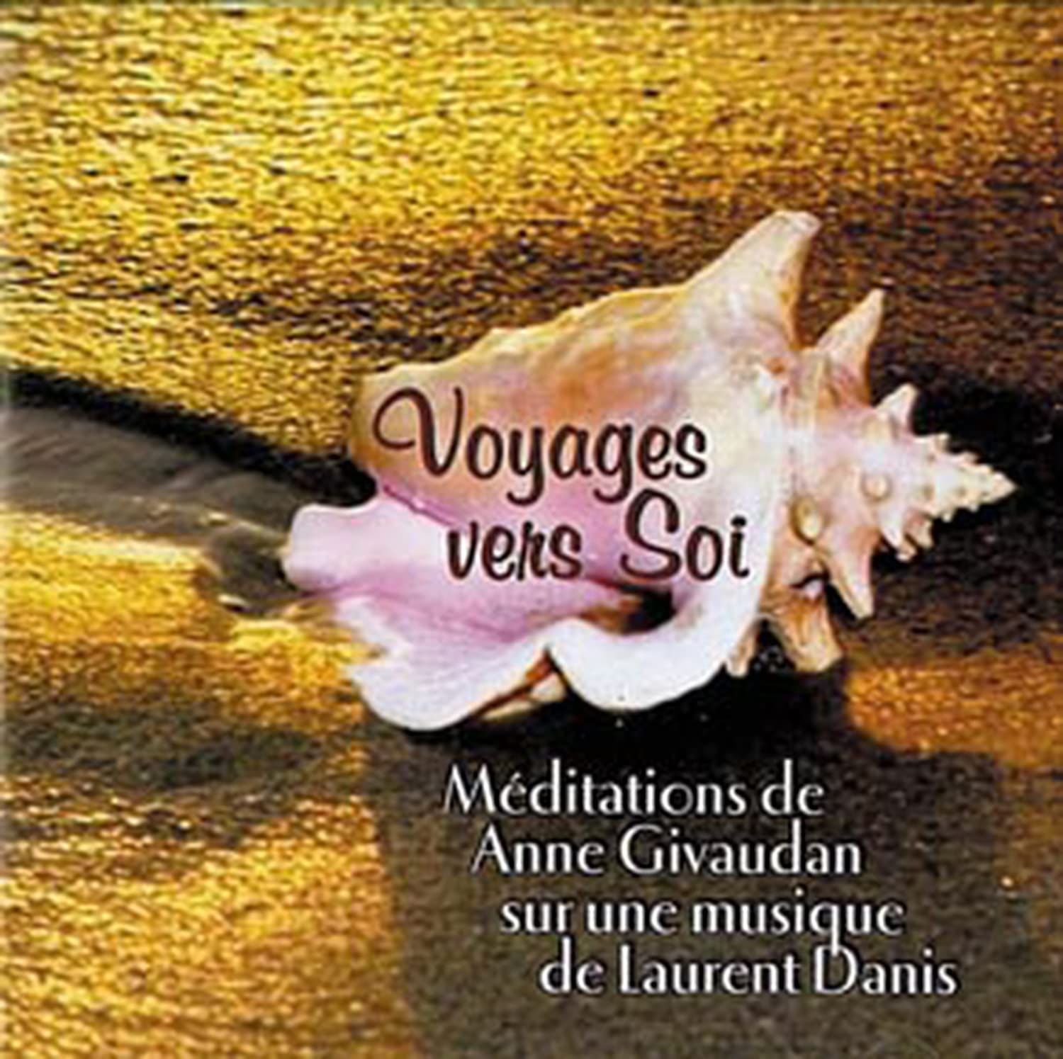 Voyages vers Soi - Livre audio cd