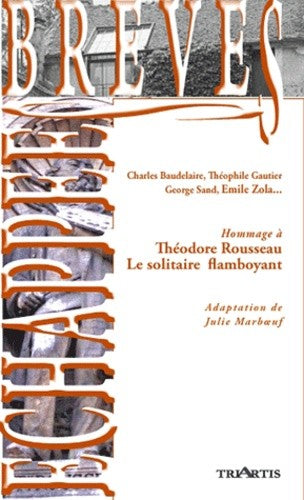 Théodore Rousseau, le solitaire flamboyant : Charles Baudelaire, Théophile Gautier, George Sand, Théophile Thoré, Emile Zola... book