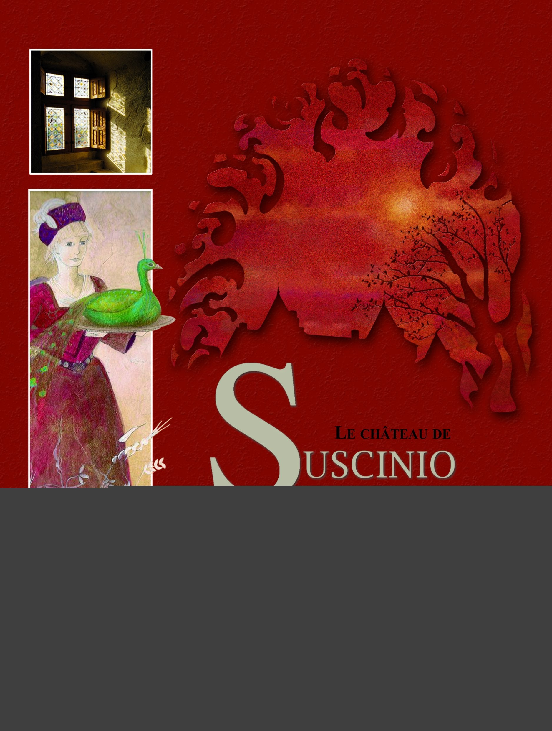 Le Chateau de Suscinio - Monographie book