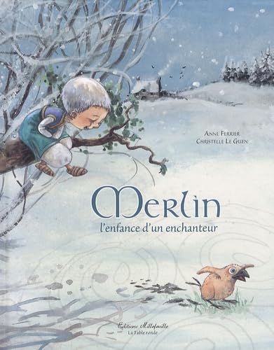 Merlin, l'enfance d'un enchanteur book