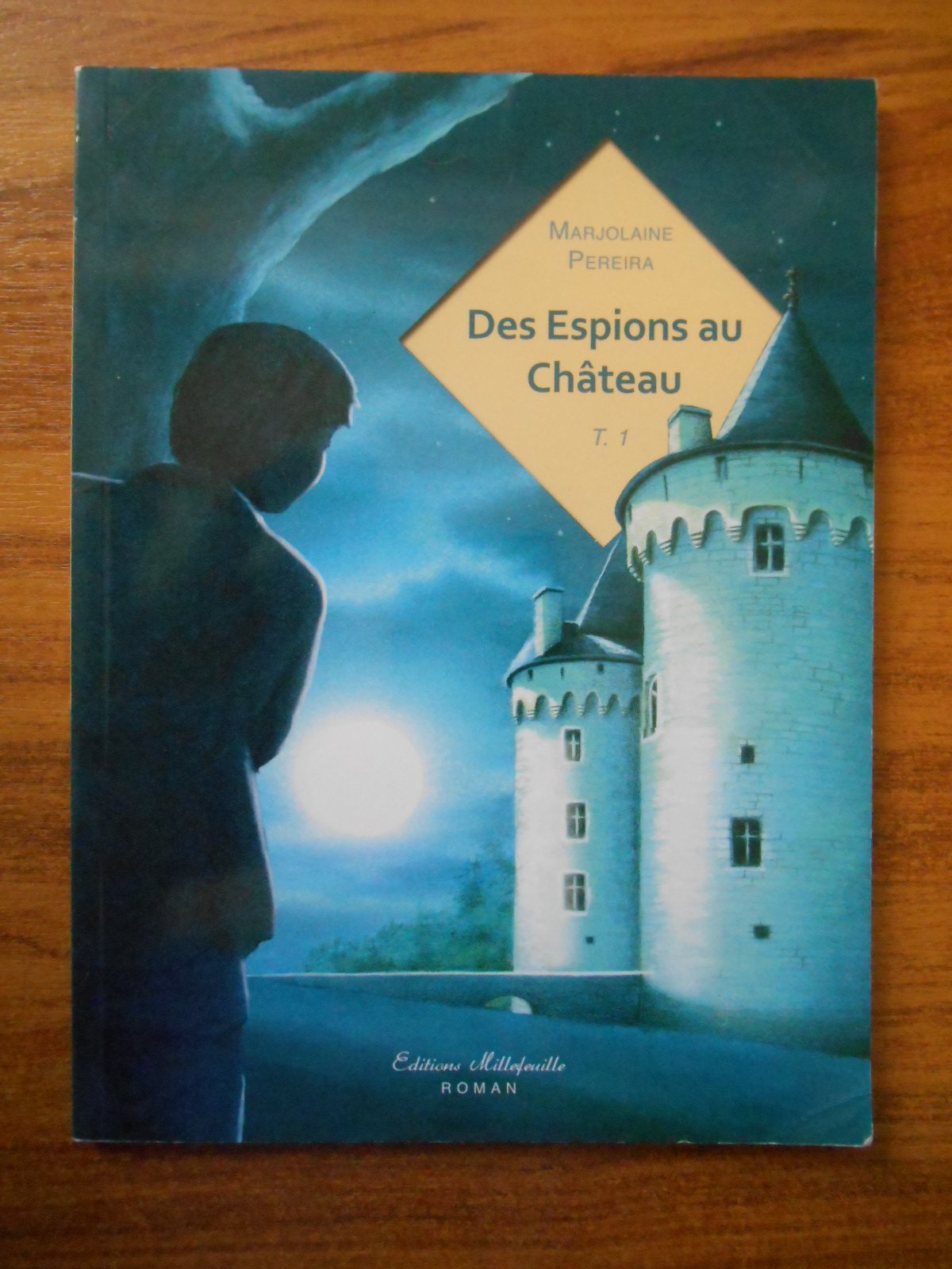 Des espions au château book
