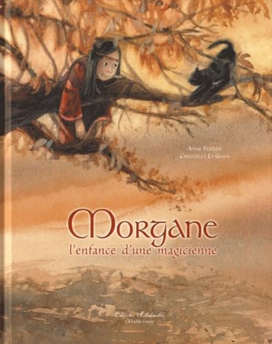 Morgane, l'enfance d'une magicienne Books