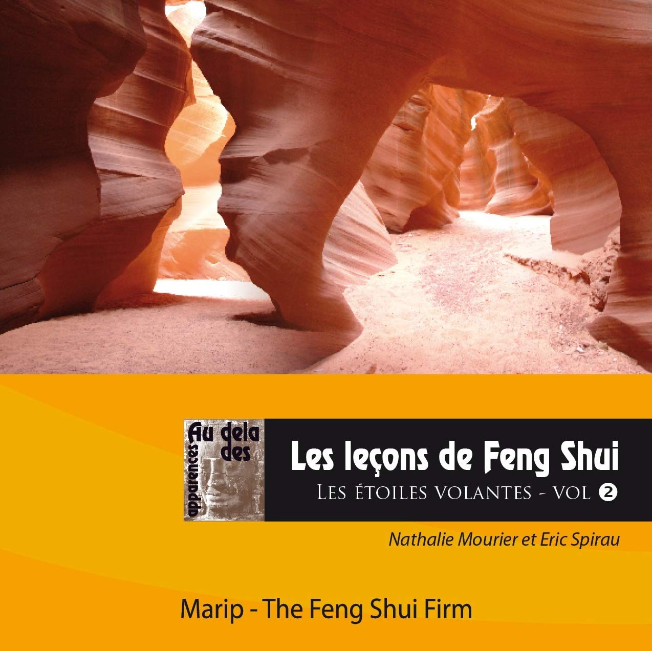 Les Lecons de Feng Shui : Les Etoiles Volantes volume 2 book