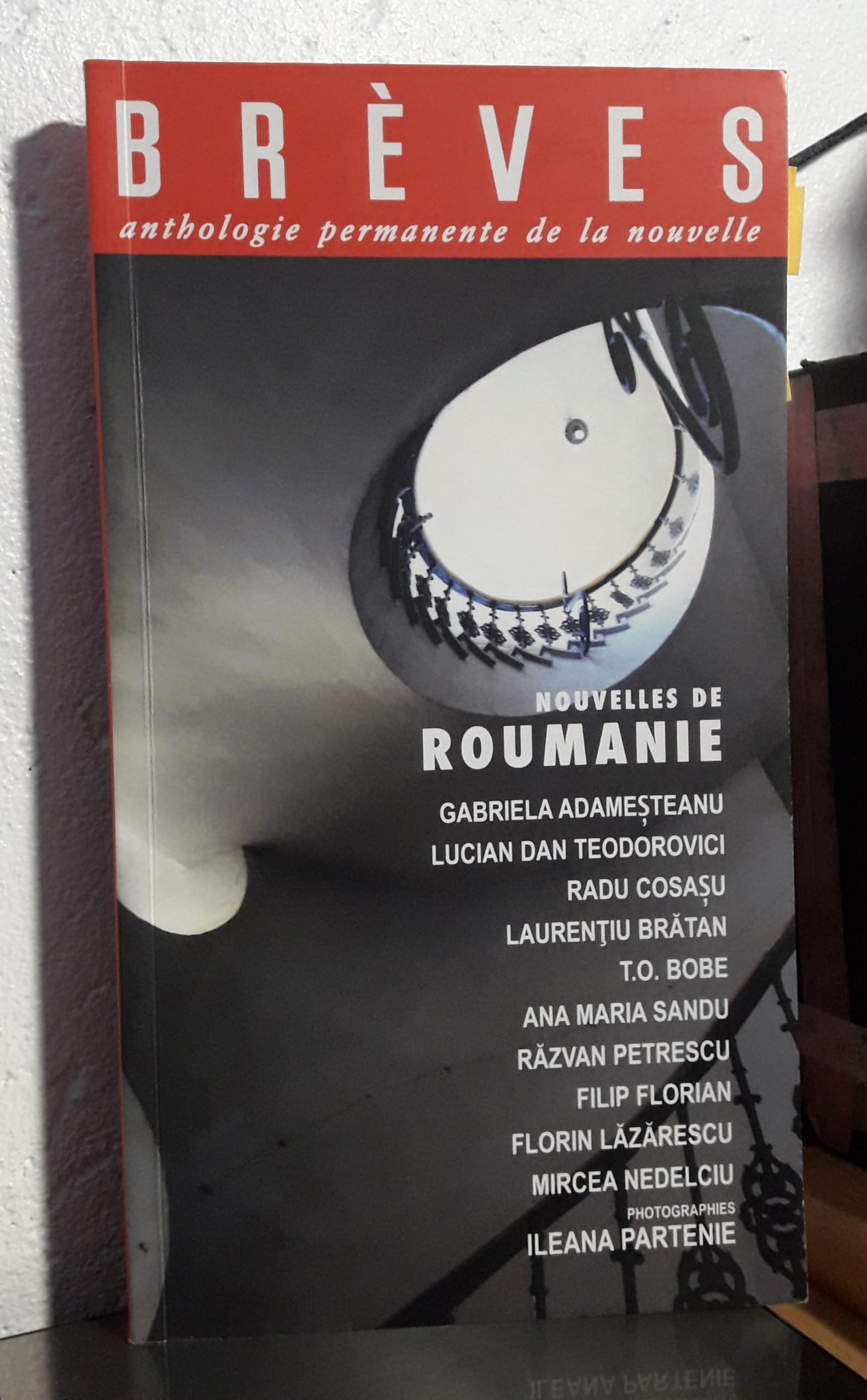 Brèves, N° 99 : Nouvelles de Roumanie Essays & Short Stories